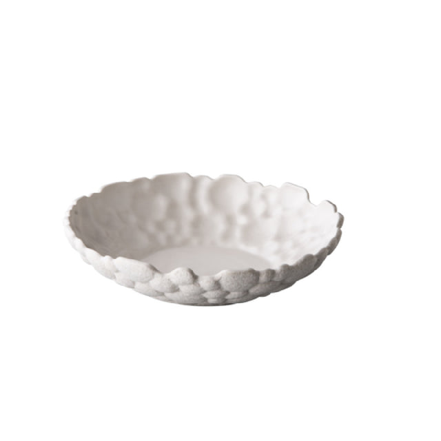 Bauscher Hepp RD18810 - Bubble Plate, 9.4" Dia. X 2.1", Round