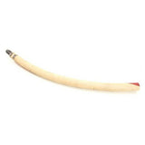 Magikitch'N B6615001-C Hose Fryer Drain 36" 1"npt