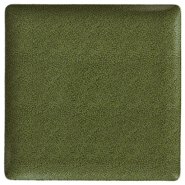 Bauscher Hepp 691520-425914 - Plate, 7.9"x 7.9"x 0.8"H, Square