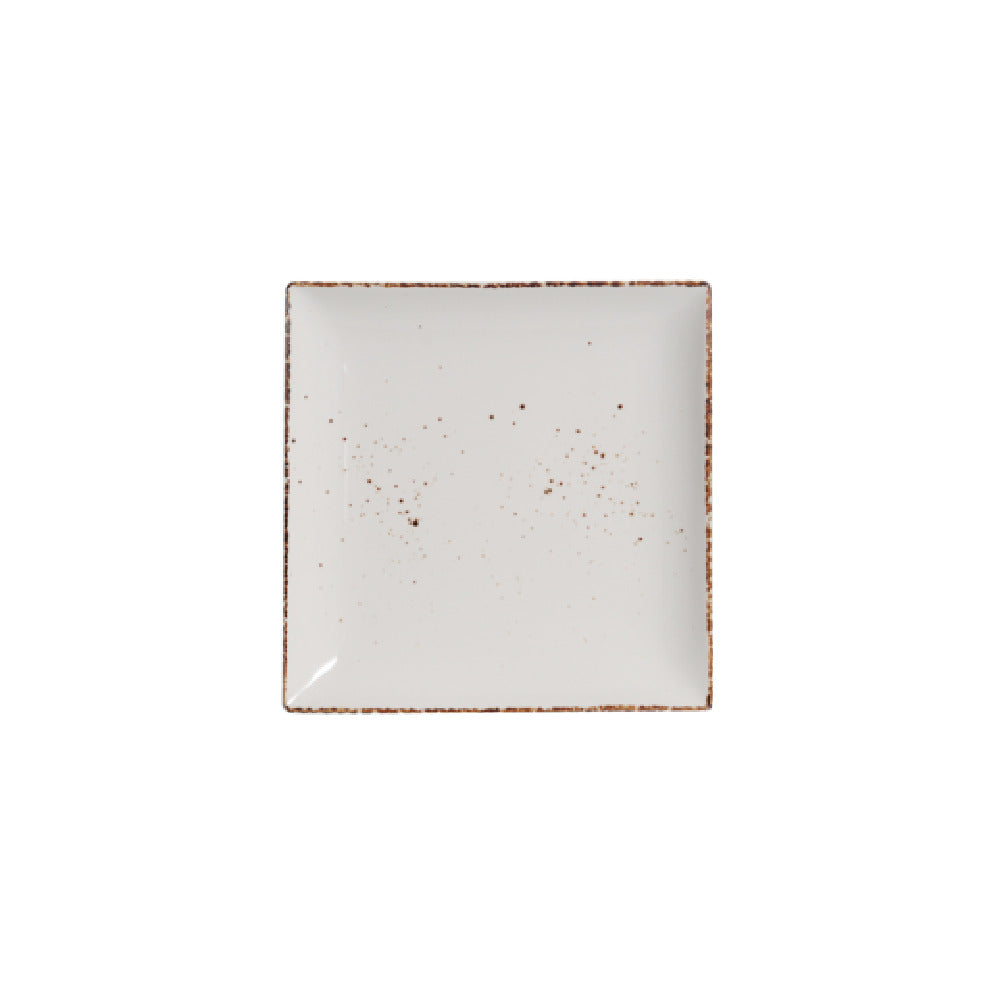 Palate & Plate AW-8762 - Plate, 10", Square