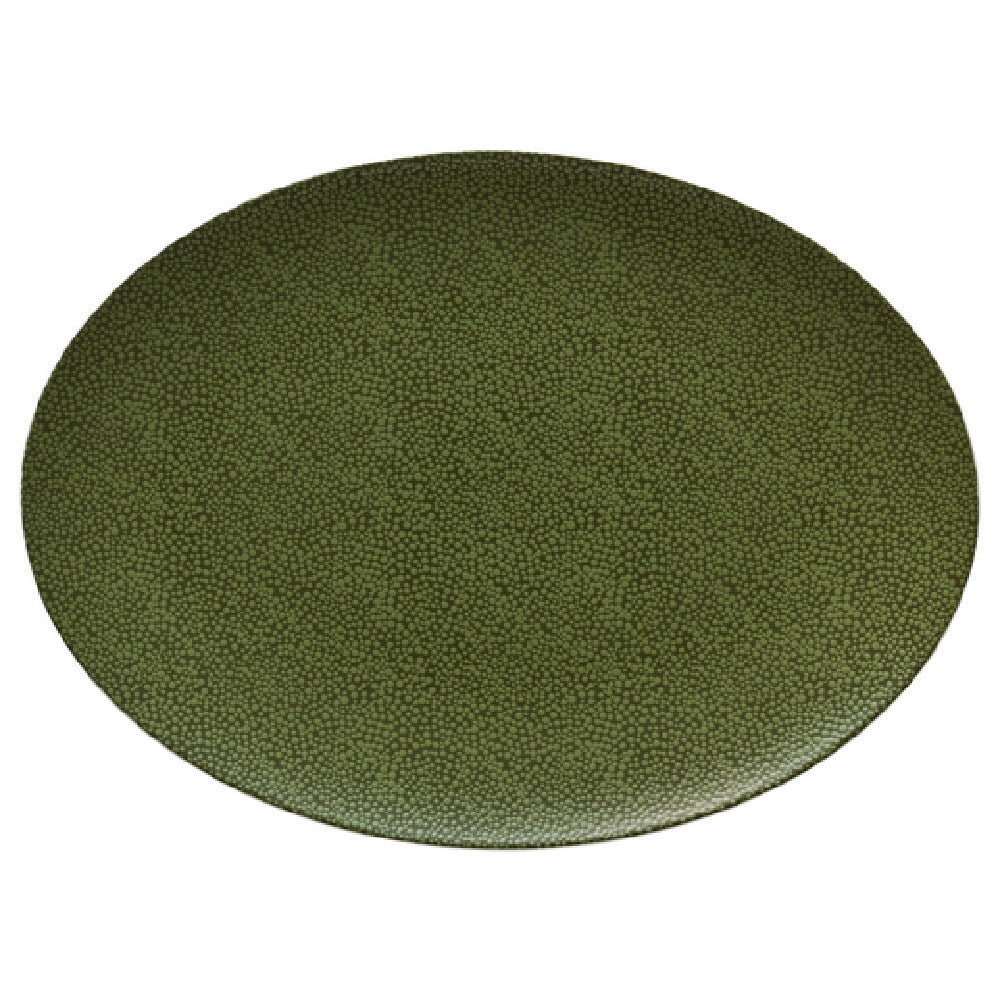 Bauscher Hepp 692237-425914 - Platter, 14.6"x 10.7"x 1.0"H, Oval