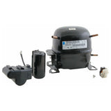 Beverage Air 302-676B Compressor 115v W/capacitor