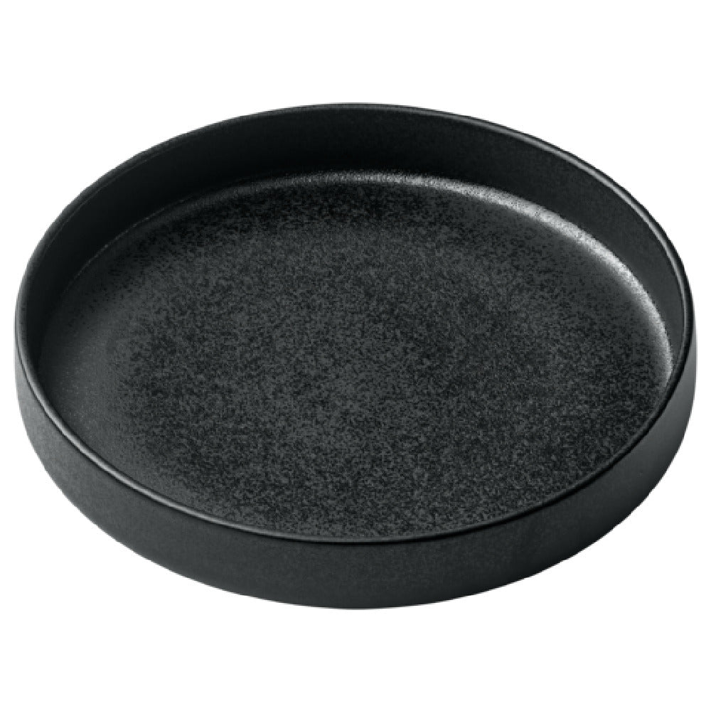 Bauscher Hepp P011324-021090 - Plate, 9.5" Dia., Round