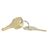 TRUE 829424 Key Door (set Of 2)