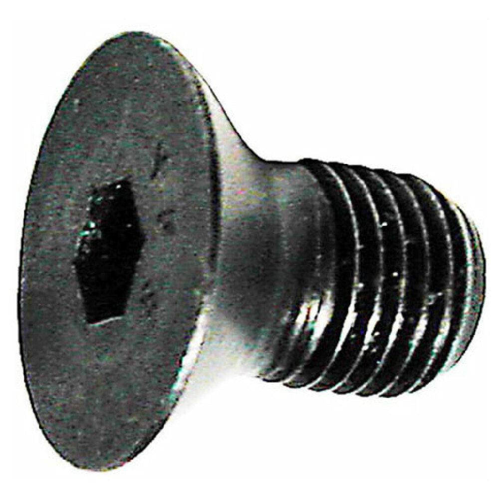 Berkel 402175-00088 Screw Cap