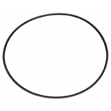 Berkel 2375-00015 Short Belt