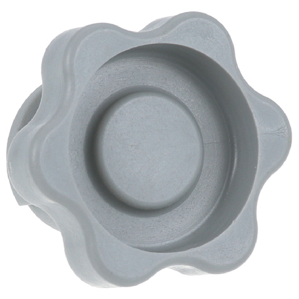 Champion 0112240 Plug Spraypipe