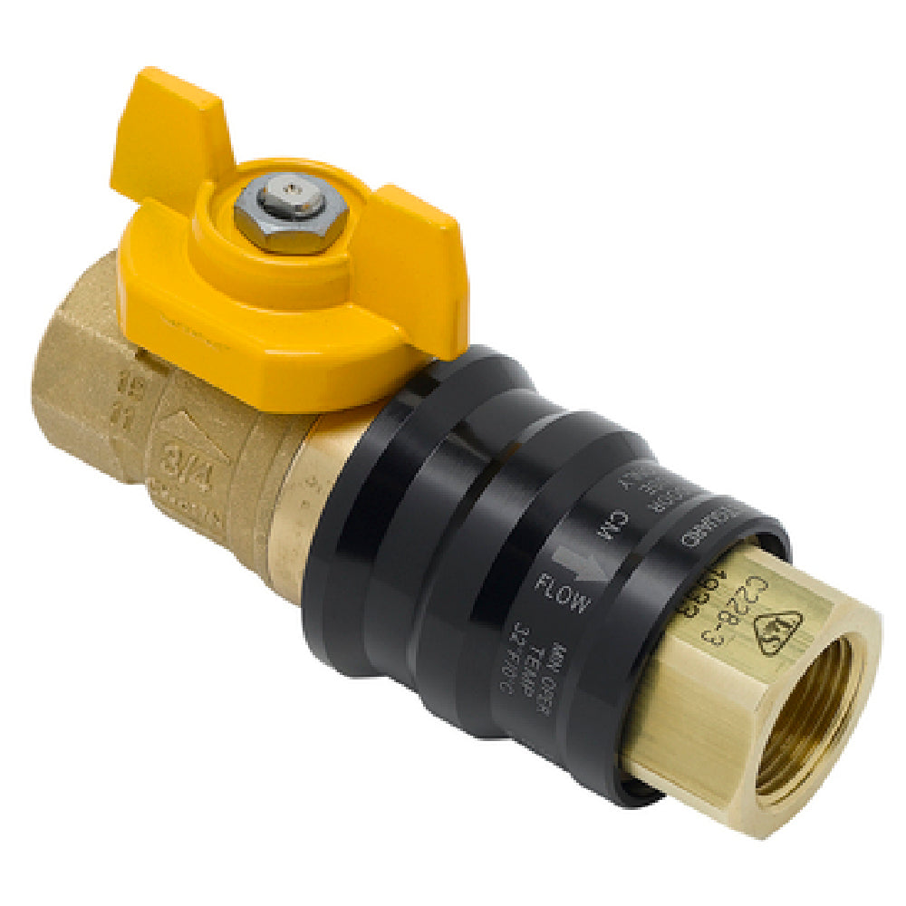 T&S Brass AG-9C Safe-T-Guard Combination Gas Valve Quick Disconnect 1/2" NPT