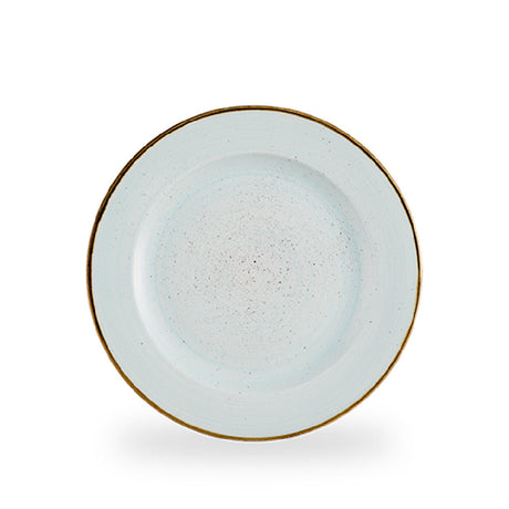 Churchill China SDESVP581 - Plate, 10 7/8" Dia., Profile