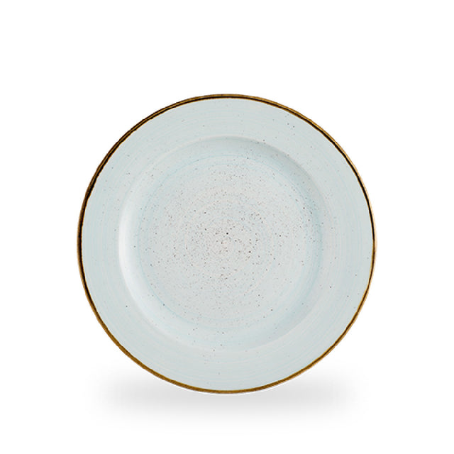Churchill China SDESVP581 - Plate, 10 7/8" Dia., Profile