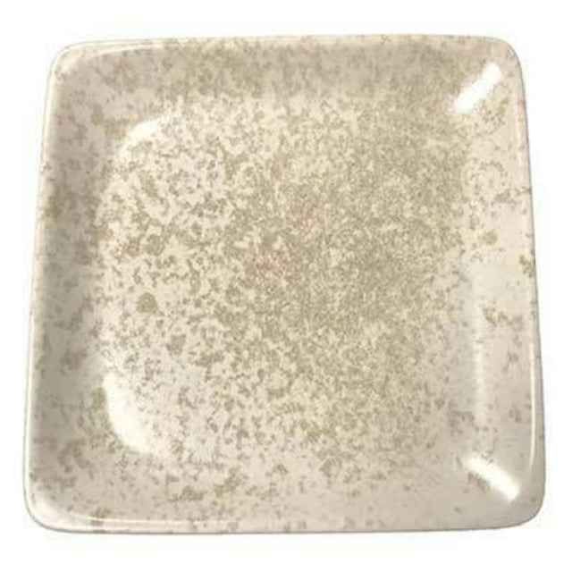 Bauscher Hepp 111529-425776 - Plate, 11.4" X 11.4", Square