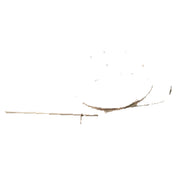 Franklin Machine Products 272-1273 Thermocouple 5-1/2"