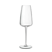 Bauscher Hepp 13108/01 - I Meravigliosi Flute Glass, 7 Oz., 2.6" Dia. X 8.3"H