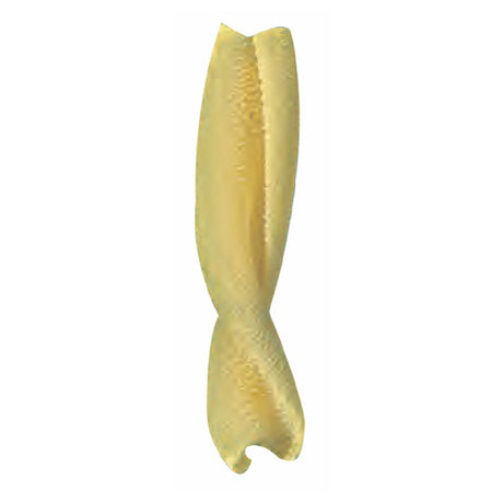 Arcobaleno Pasta Equipment AEX18 & AEX20#221 Extruder Die 12mm Casarecce