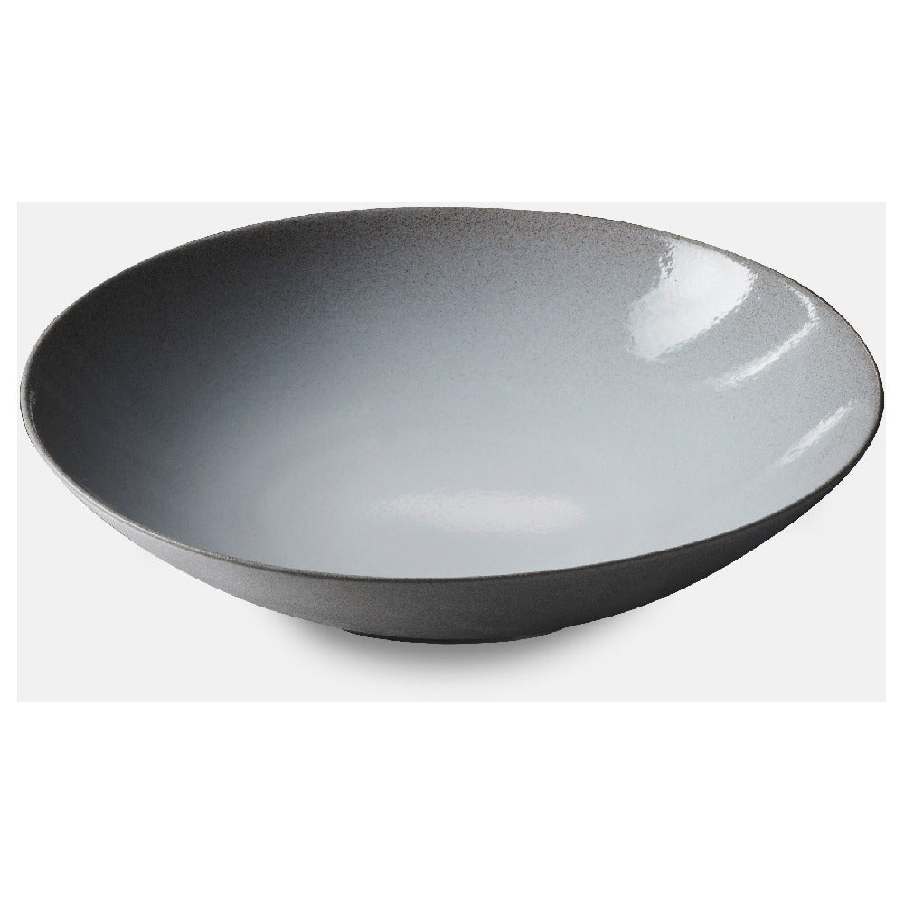 Revol 663182 - Plate, 33-3/4 Oz., 24cm/9.5"