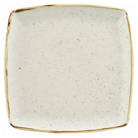 Churchill China SWHSDS101 Plate 10-1/2" Square