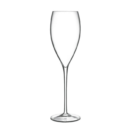 Steelite LB0895906 - Champagne Flute, 11.0 Oz, 3.0" X 10.25"