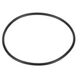 Everpure 151120 O Ring