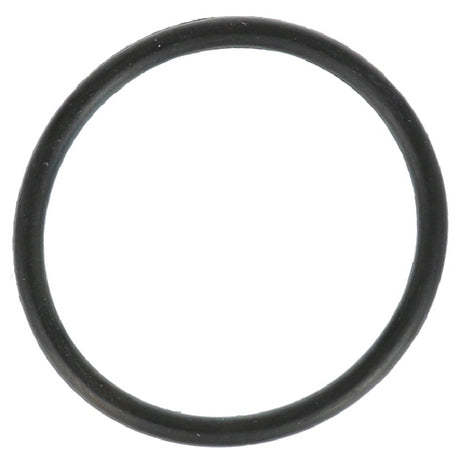 Bunn 24733.001 O Ring