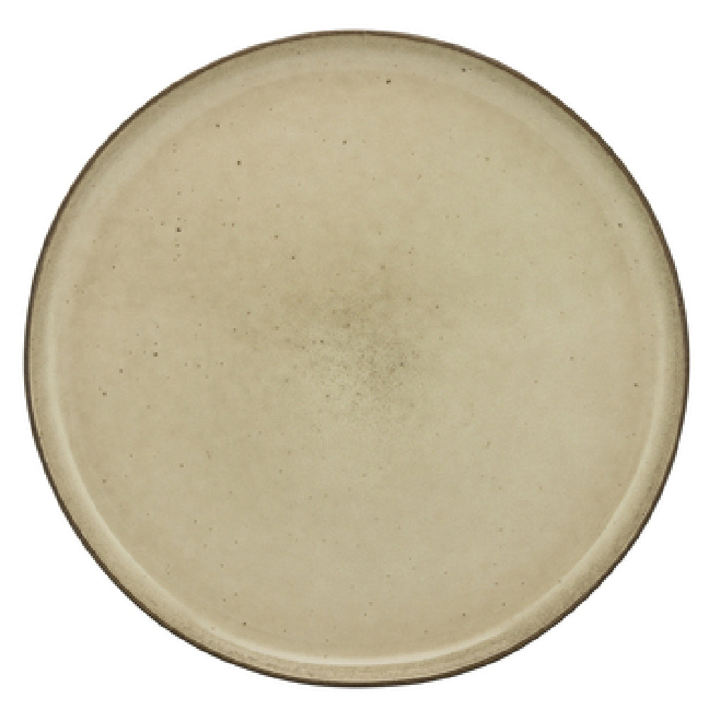 10 Strawberry St FRZ-1SS-BG - Dinner Plate, 10-7/10" Dia., Round