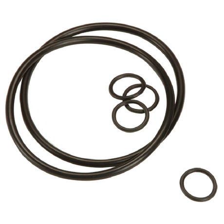 Antunes 7000413 O-Ring Replacement Kit Includes: O-rings For The End Cap And Cartridge (for Ultrafiltration Systems)