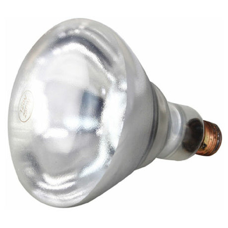 Private Label 381136 Infra Red Lamp (pk 12) (clear) 120v 250w
