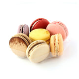 PacknWood 210MACYNS7RD - Macaron Solutions Combo Insert, 5.1" Dia. X 0.7"H, Round