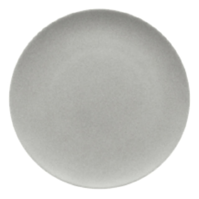 Bauscher Hepp 711226-700410 - Plate, 10-1/4" Dia., Round