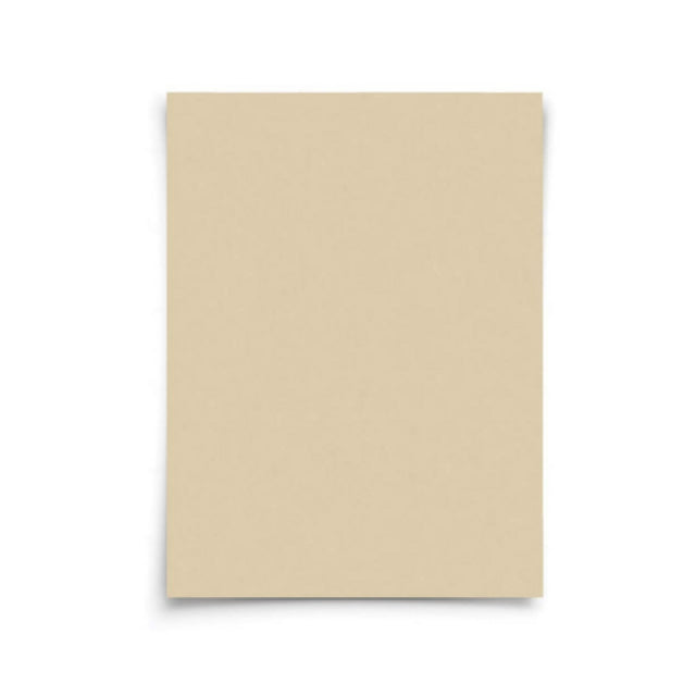 Harold Import Co. 22208 HIC Kitchen Non-Stick Pre-Cut Parchment Paper Sheets 24 Sheets