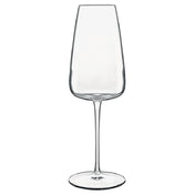 Bauscher Hepp 12735/01 - Champagne/Prosecco Glass, 13.5 Oz., 3-1/8" Dia. X 9-5/8"H