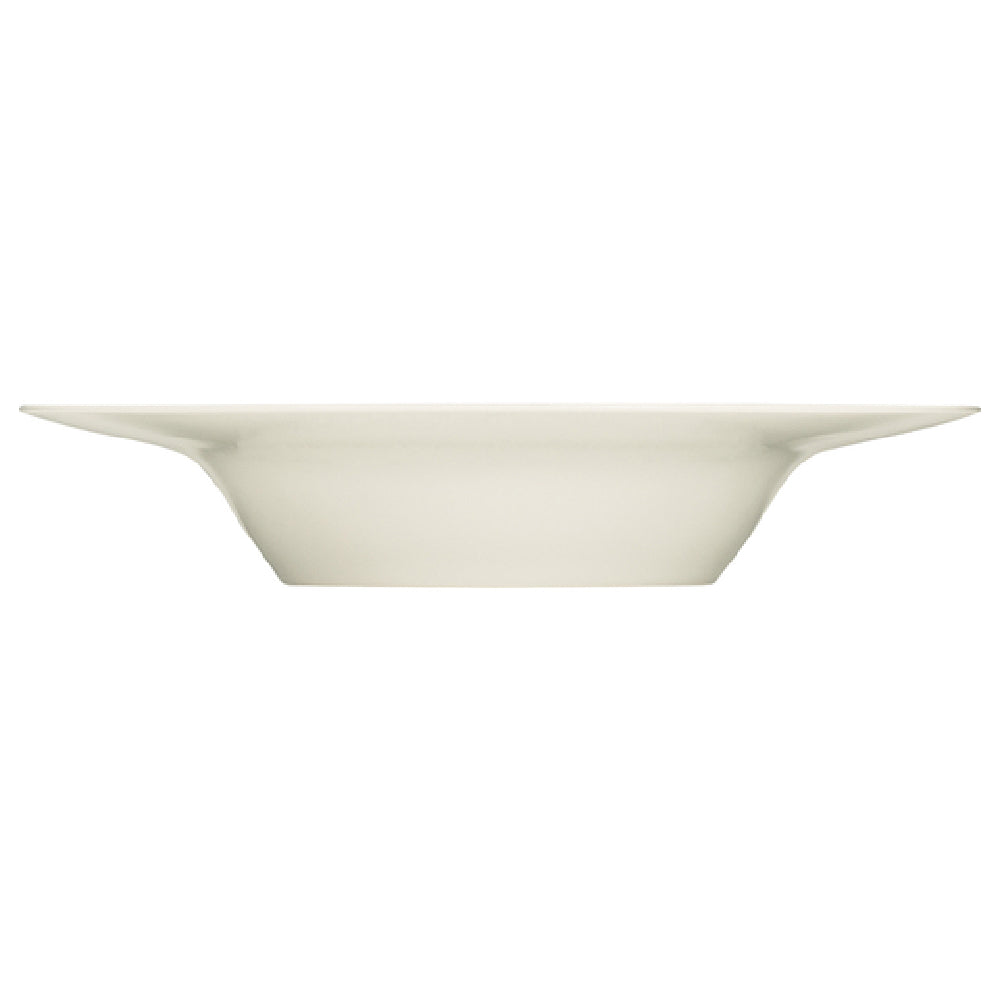 Bauscher Hepp 690124 - Plate, 9-1/2" Dia., 11.8 Oz.