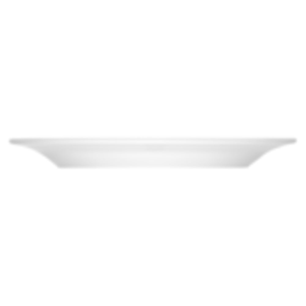 Bauscher Hepp 110024 - Plate, 9-2/5" Dia., Flat