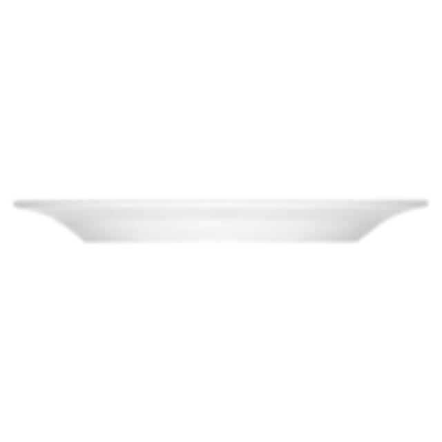 Bauscher Hepp 110024 - Plate, 9-2/5" Dia., Flat