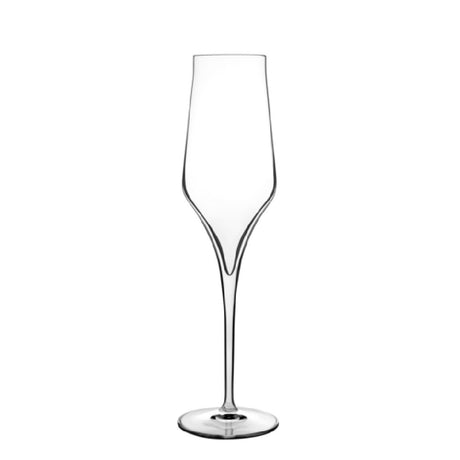 Steelite LB1127601 - Champagne Flute, 8.25 Oz, 2.75" X 9.875"