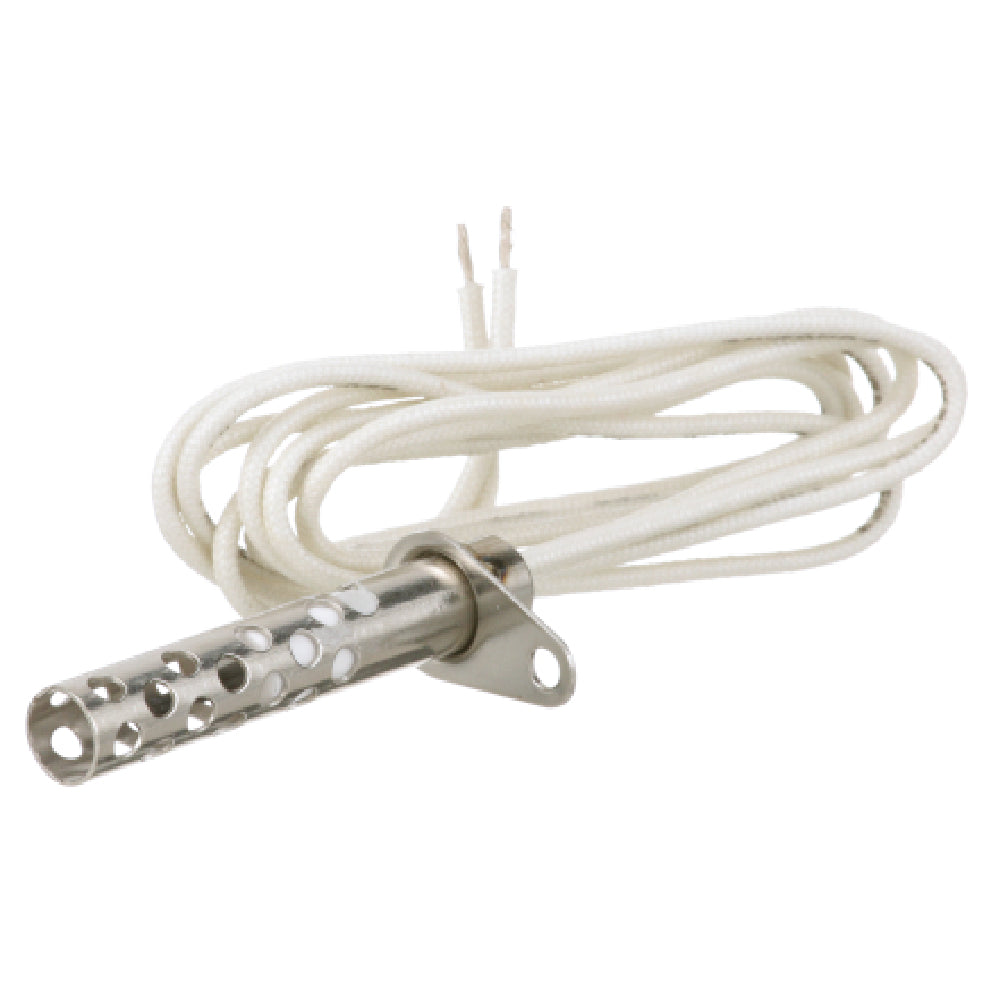 APW 2065874 Ignitor