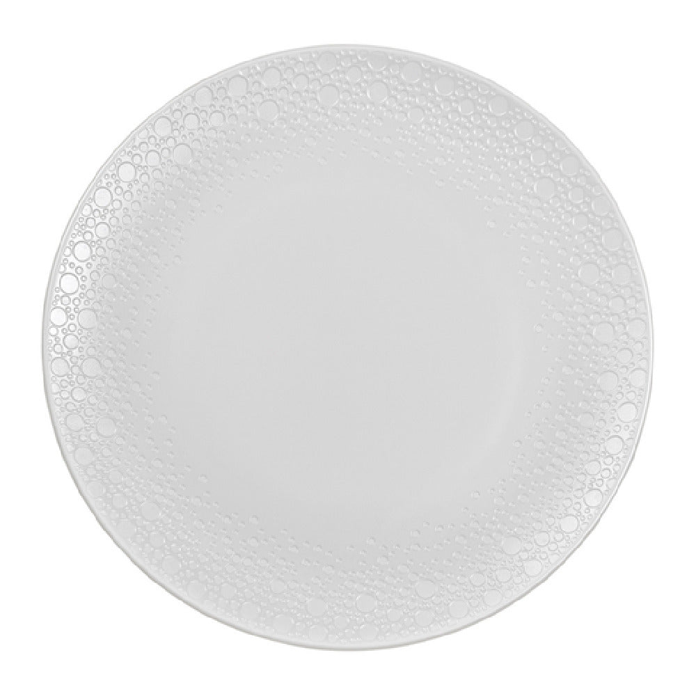 Bauscher Hepp 190031-590025 - Plate, 12-1/5" Dia., Round
