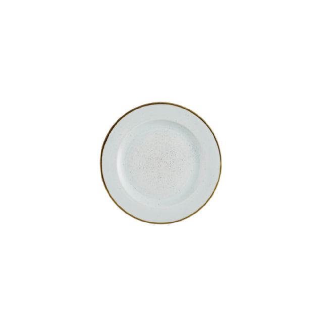 Churchill China SDESVP111 - Plate, 12" Dia., Profile