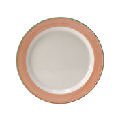 Steelite 15320211 Slimline Plate 9" Dia. Round Alumina Vitrified