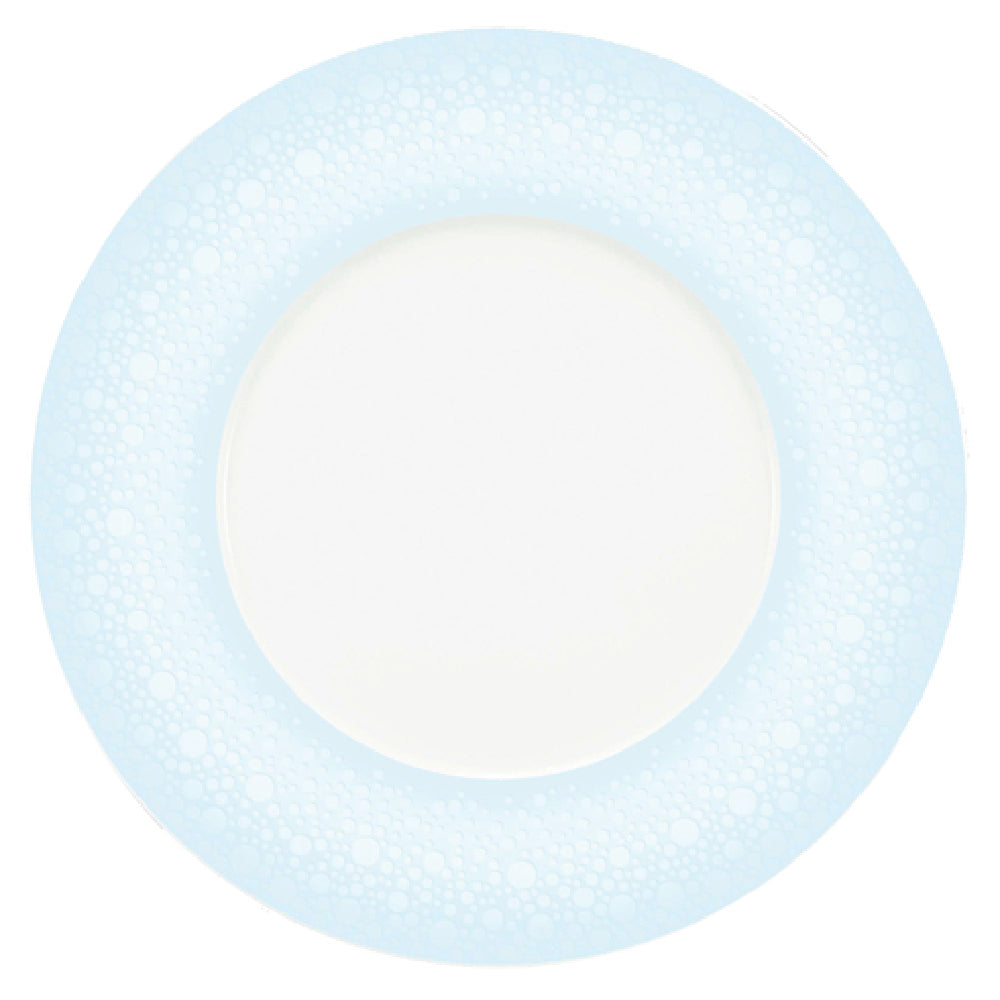 Bauscher Hepp 190031-590047 - Plate, 12-1/4" Dia., Round