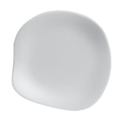 Steelite 7008DD025 Plate 9-1/2" Break Resistant