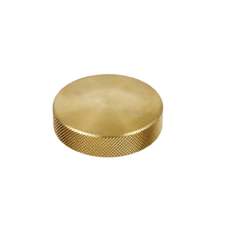 Fisher 73656 End Cap Overflow Brass