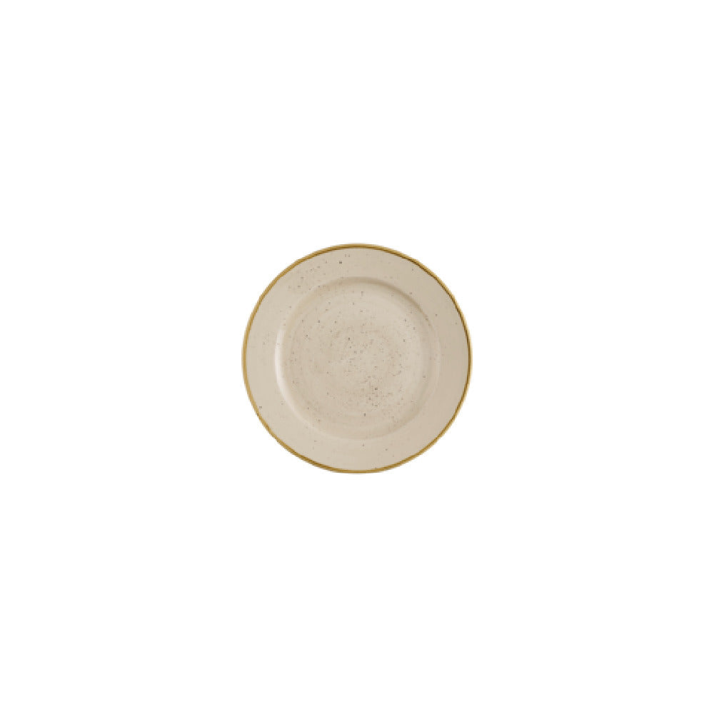 Churchill China SNMSVP101 - Plate, 10 1/4" Dia., Profile
