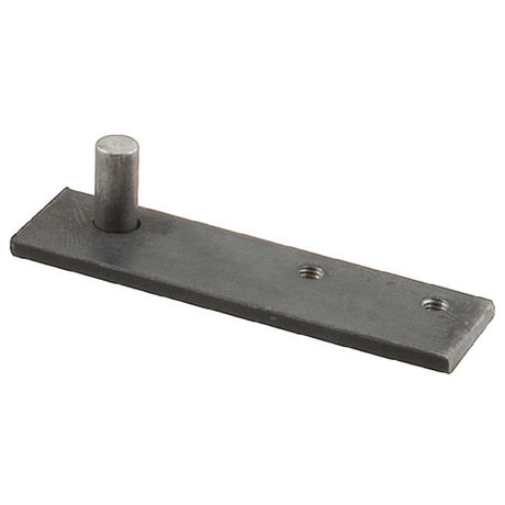 Franklin Machine Products 840-4801 Door Hinge Right Hand Steel