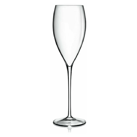 Bauscher Hepp 08959/06 - Champagne Glass, 10.75 Oz., Fluted