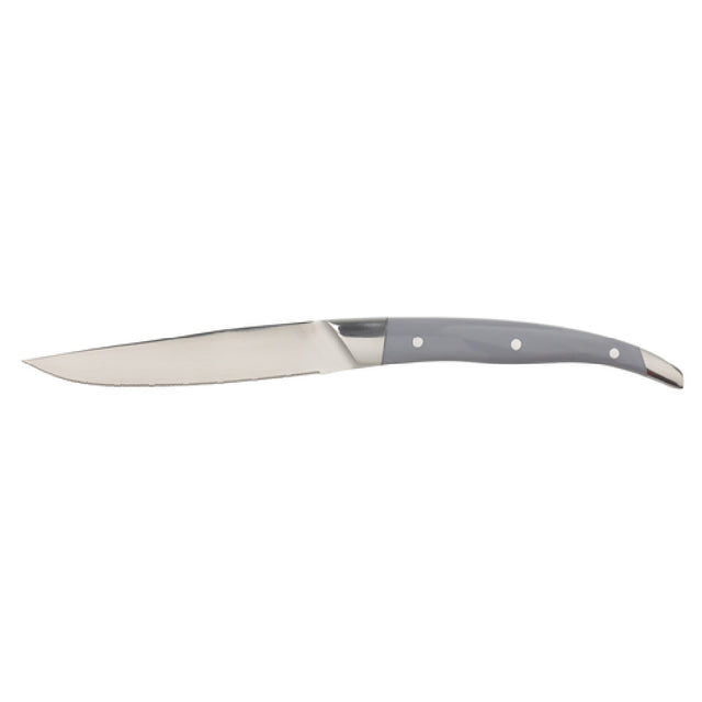 Arc Cardinal FJ509 Chef & Sommelier Imperial Acrylic Steak Knife Steak Knife (L:9.625'' X W:0.787'')