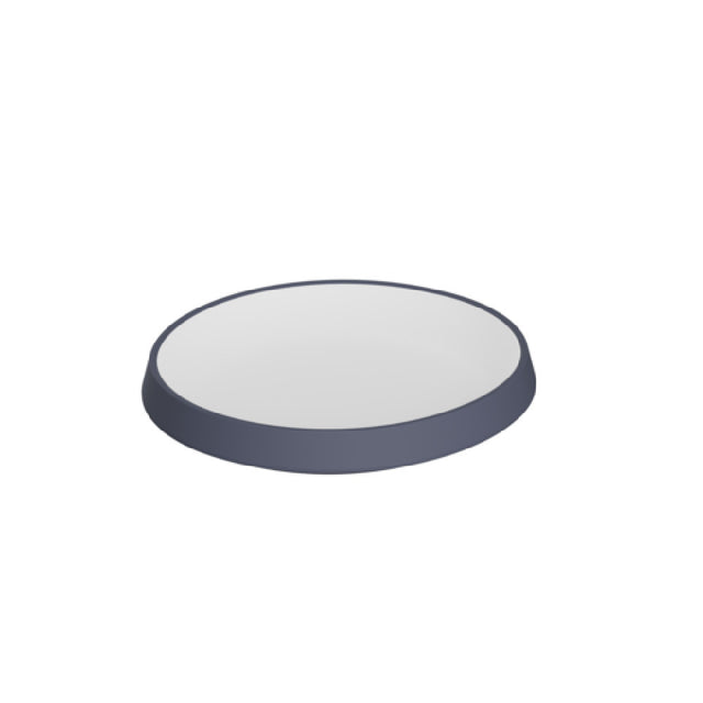 Bauscher Hepp TW4724GRP - Dish, 9.6" X 8.9" X 1.3H, Small