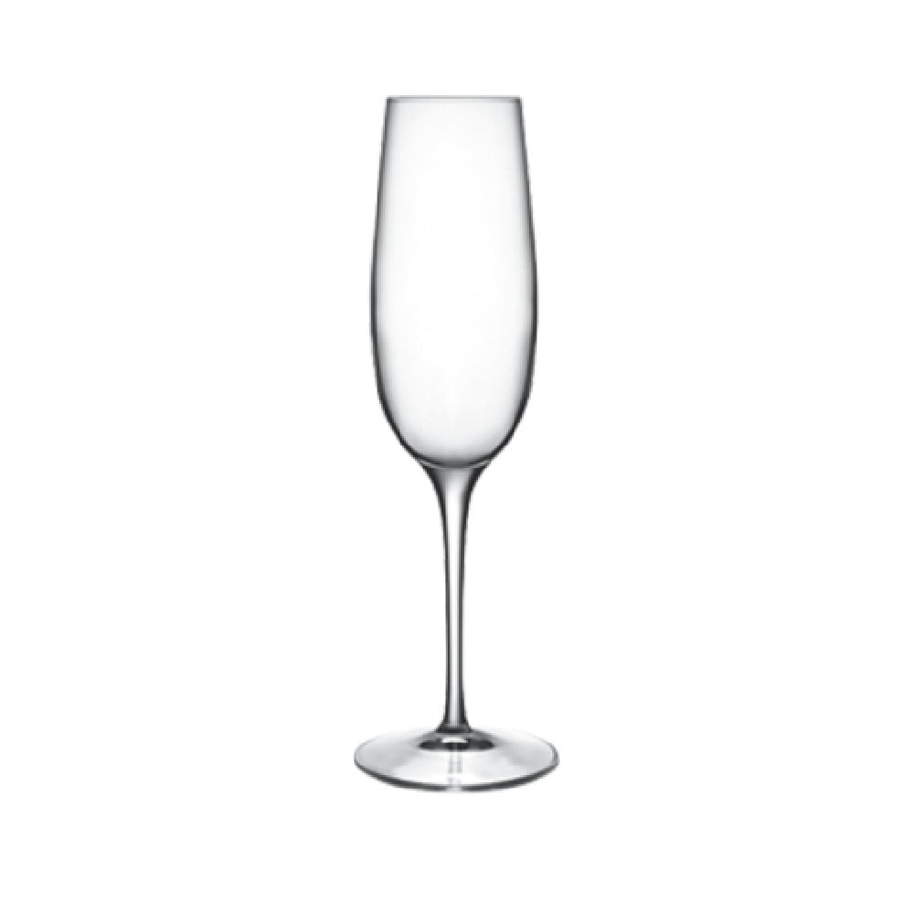 Bauscher Hepp 09233/06 - Champagne/Flute Glass, 8.25 Oz., Reinforced Rims