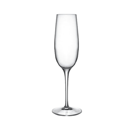 Bauscher Hepp 09233/06 - Champagne/Flute Glass, 8.25 Oz., Reinforced Rims
