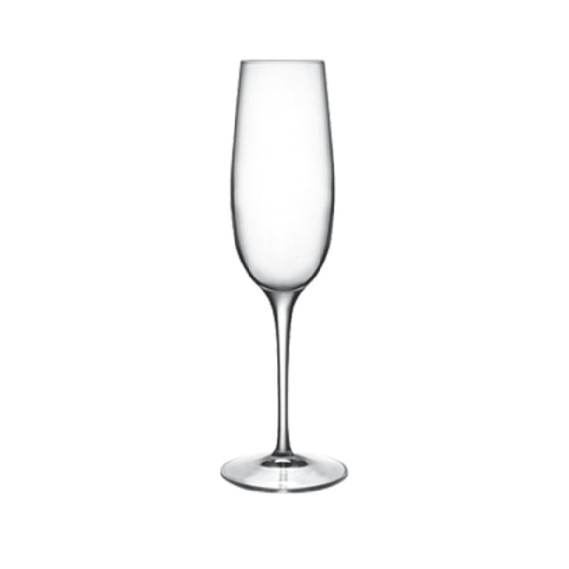 Bauscher Hepp 09233/06 - Champagne/Flute Glass, 8.25 Oz., Reinforced Rims