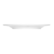 Bauscher Hepp 540025-410000 - Plate, 10.1" Dia. X 0.9"H, Round